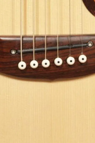 Maton Nut Saddle Bridge Pins kit os