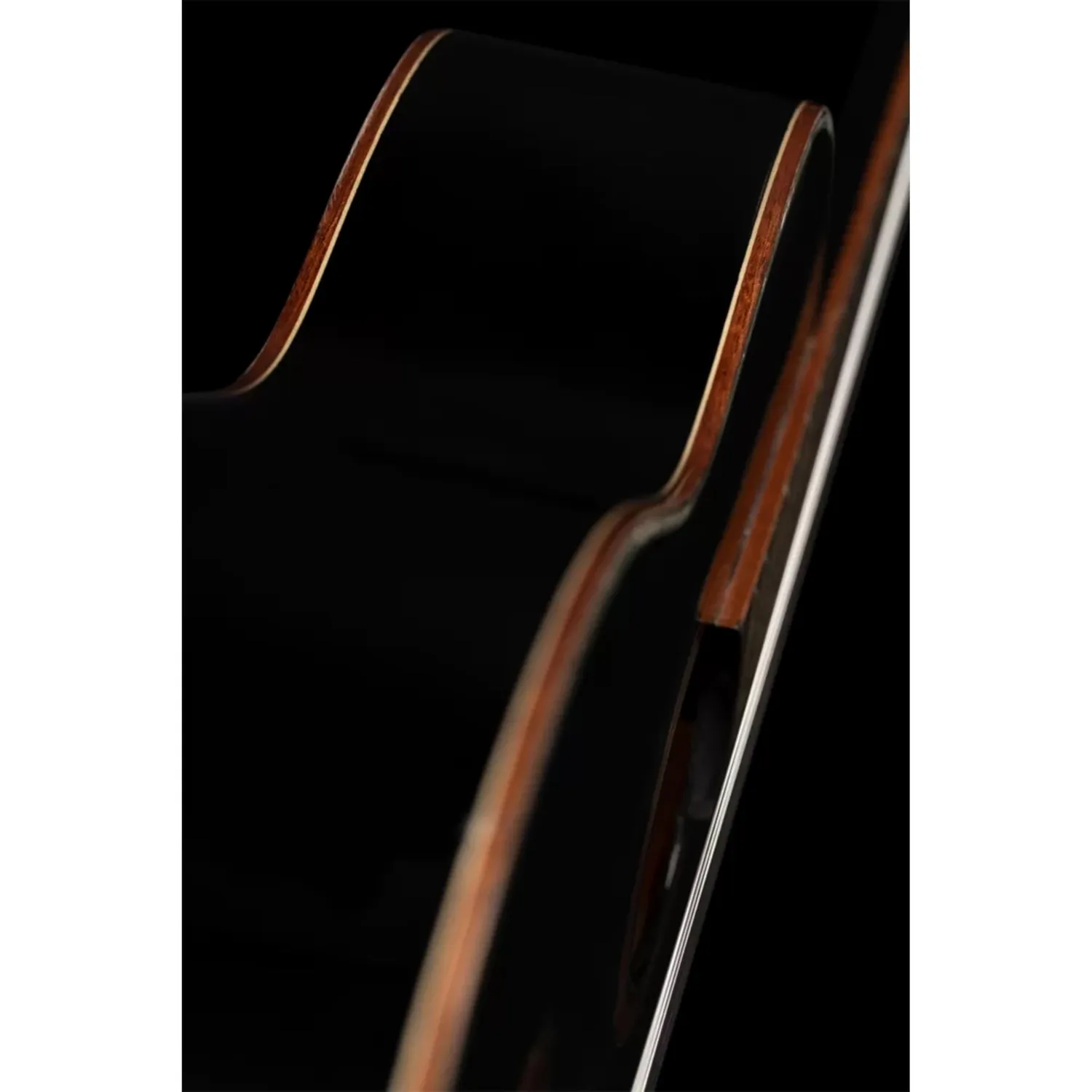 Ortega Family R221SNBK guitare classique 4/4 noire