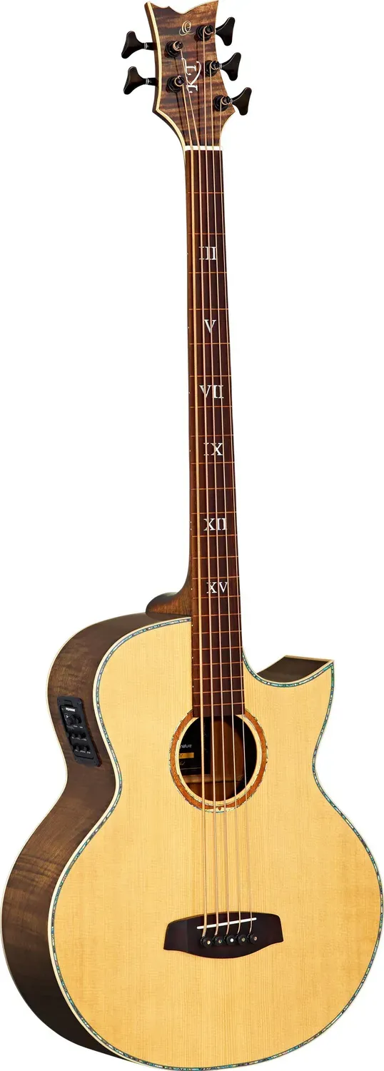 Ortega Ken Taylor KTSM-5FL basse fretless 5 cordes + housse