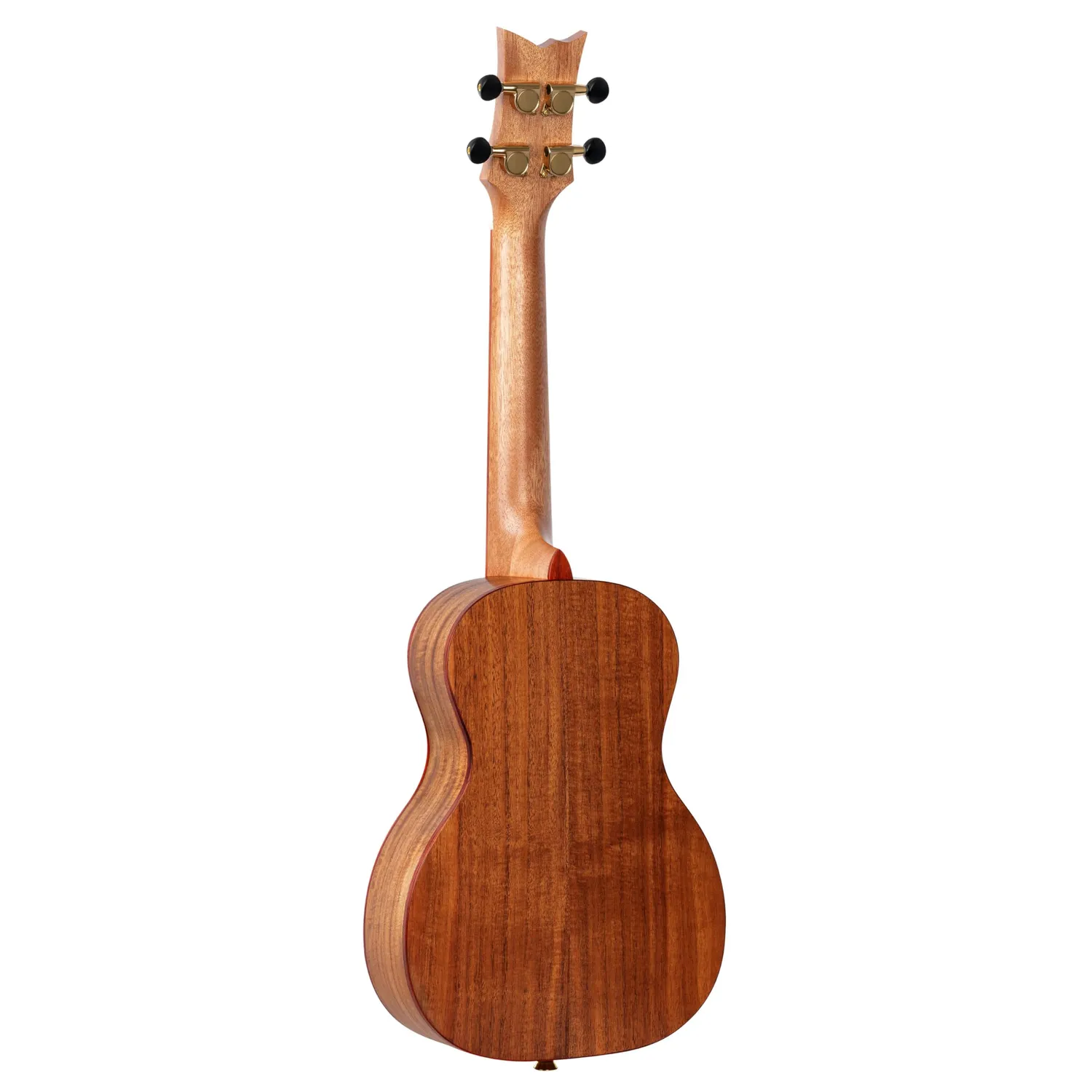 Ortega Timber RUACA-CC ukulélé concert acacia avec housse